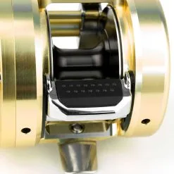 Shimano Calcutta Conquest 201 A 12 Shimano Calcutta Conquest 201 A -Freilaufrollen Verkäufe CALCUTTA Conquest 18 1250x1250px V5 1280x1280