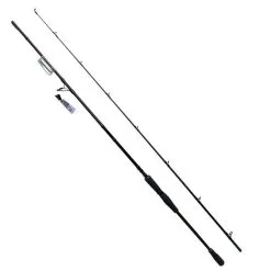 Shimano Yasei AX Pike XH Spin 250 Cm 40-120 G
